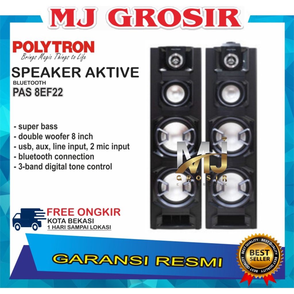 POLYTRON SPEAKER AUDIO PAS 8EF22 PAS8EF22 USB BLUETOOTH