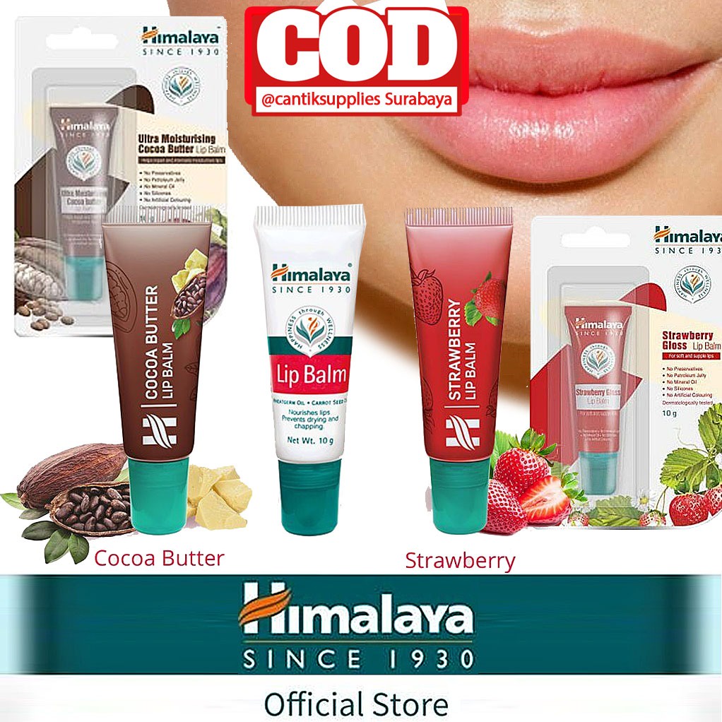 Himalaya Lip Balm Regular - Dangler 10gr | Shopee Indonesia