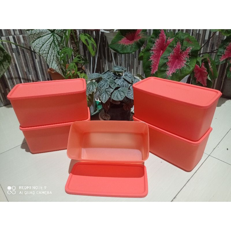 funtastic four Tupperware promo