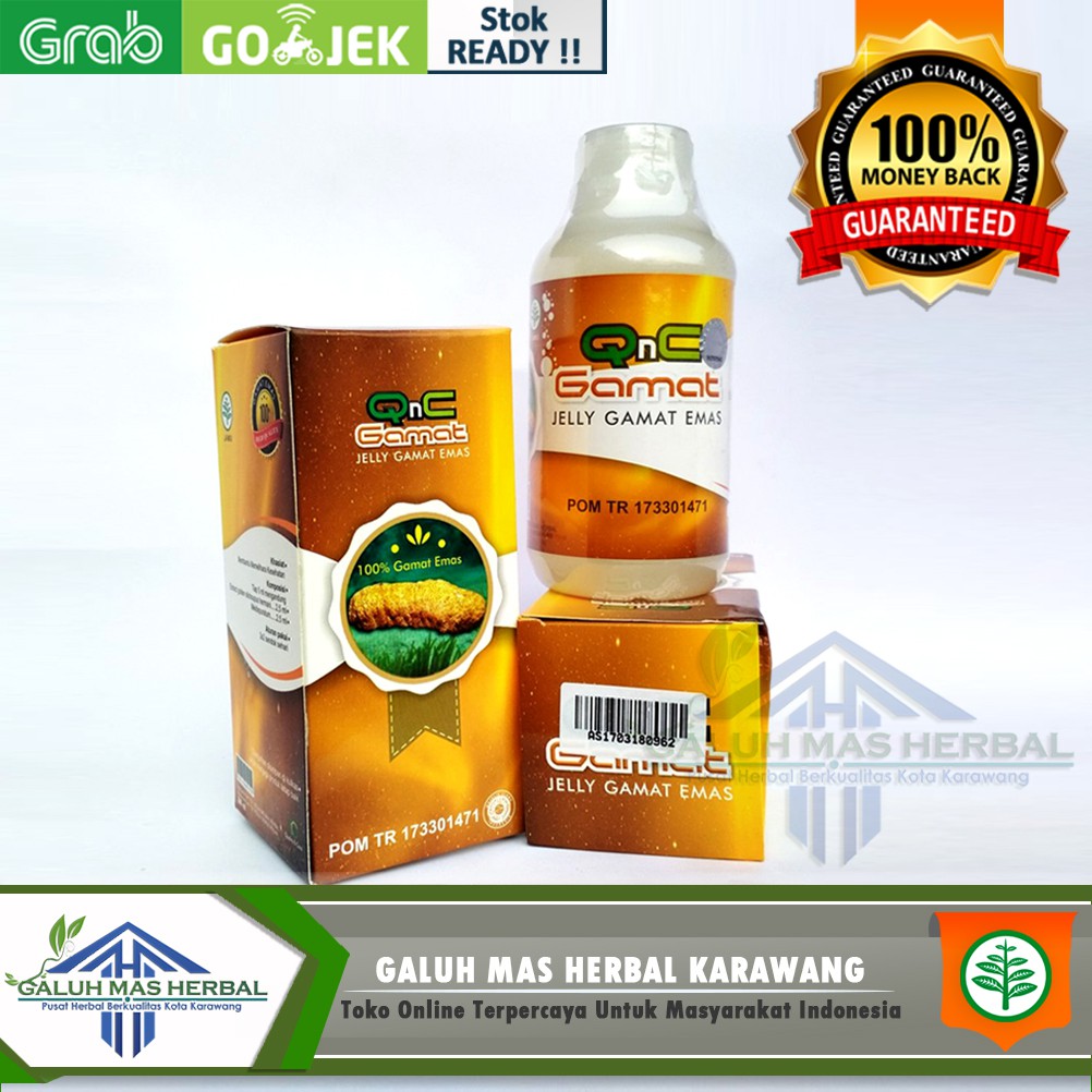 Obat herbal penyakit Maag, Asam Lambung, Gerd, infeksi Lambung, Radang Usus,usus buntu