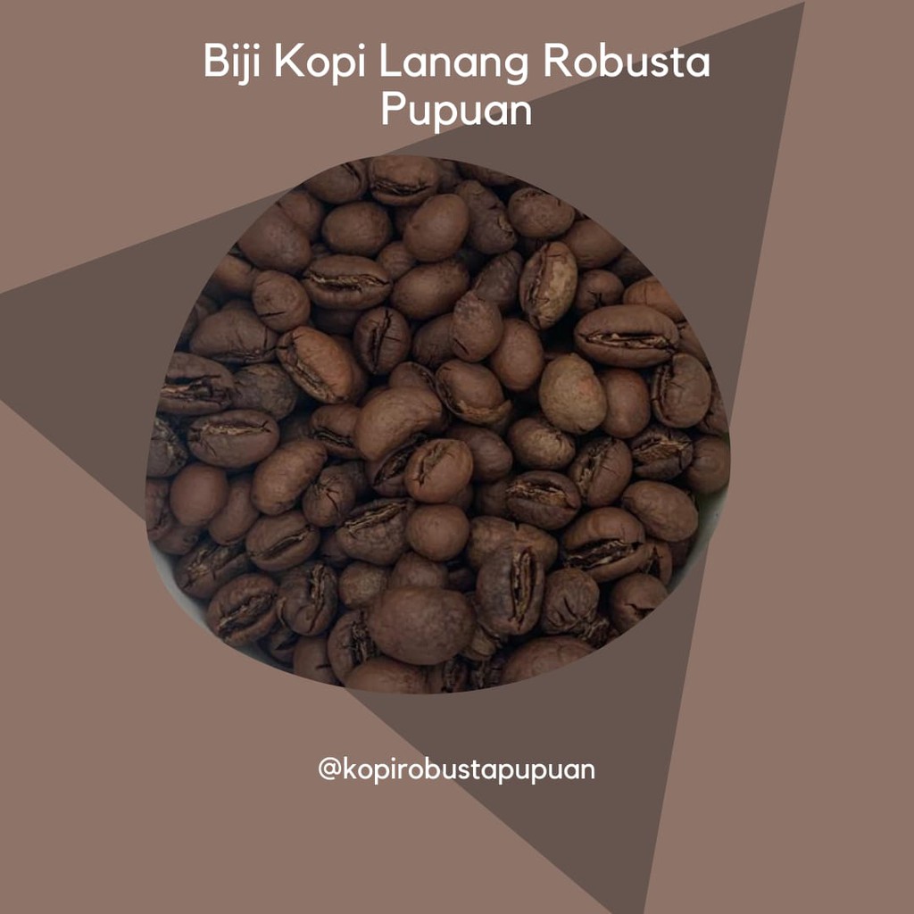 

Biji Kopi lanang Robusta Pupuan 250 gram