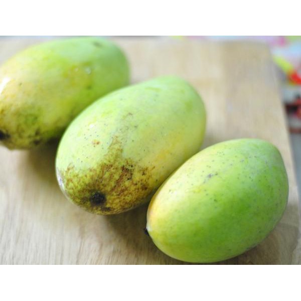 MANGGA HARUM MANIS