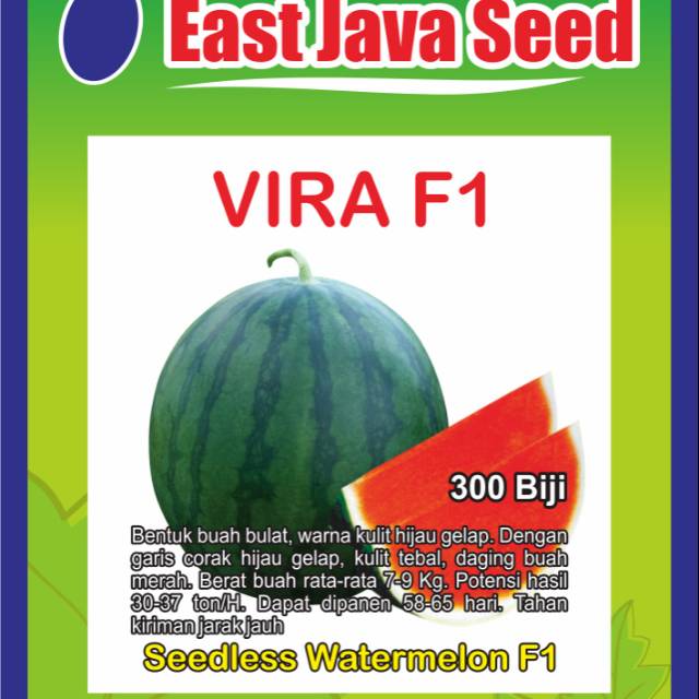 Bibit benih semangka non biji Bulat