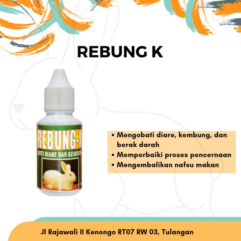 Rebung K obat kelinci