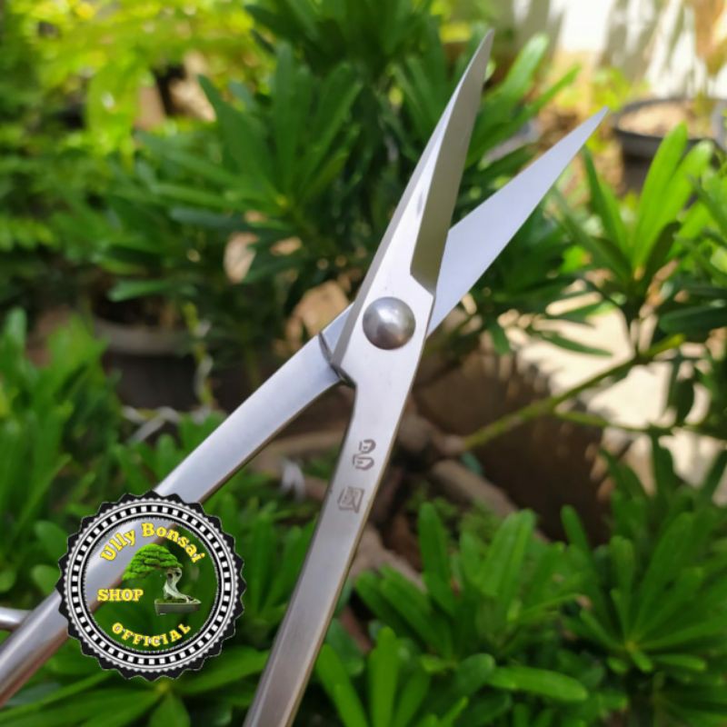 GUNTING PRUNNING DAUN DAN RANTING 21CM STAINLESS STEEL KUALITAS PREMIUM