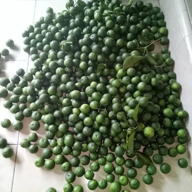 

jeruk limau ukuran 500 gram