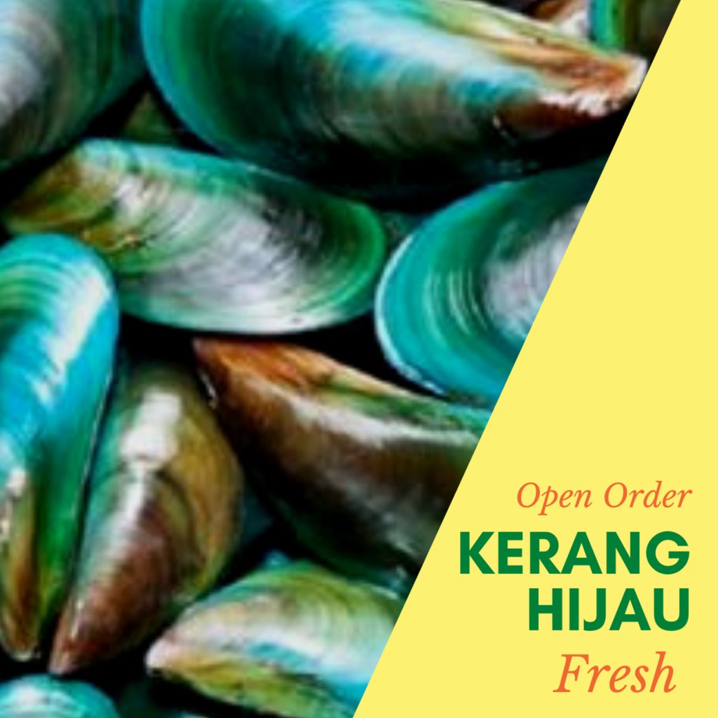 

KERANG HIJAU Segar