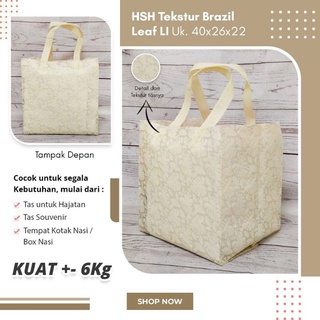 Jual RYAGAKO Goodie Bag Tas Spunbond 3D Premium Kotak Nasi 24x24 cm Hajatan Nikahan Souvenir