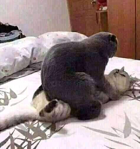 Kemeja Batik Pria Lengan Panjang Size M L Xl Xxl Bswart Batik Hrb026 Kenango Panjang Padi