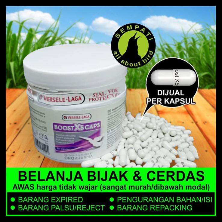 Indh Boost X5 Caps Versele Laga Vitamin Kapsul Burung Merpati Balap Bstx5 Free Ongkir Kode 1284