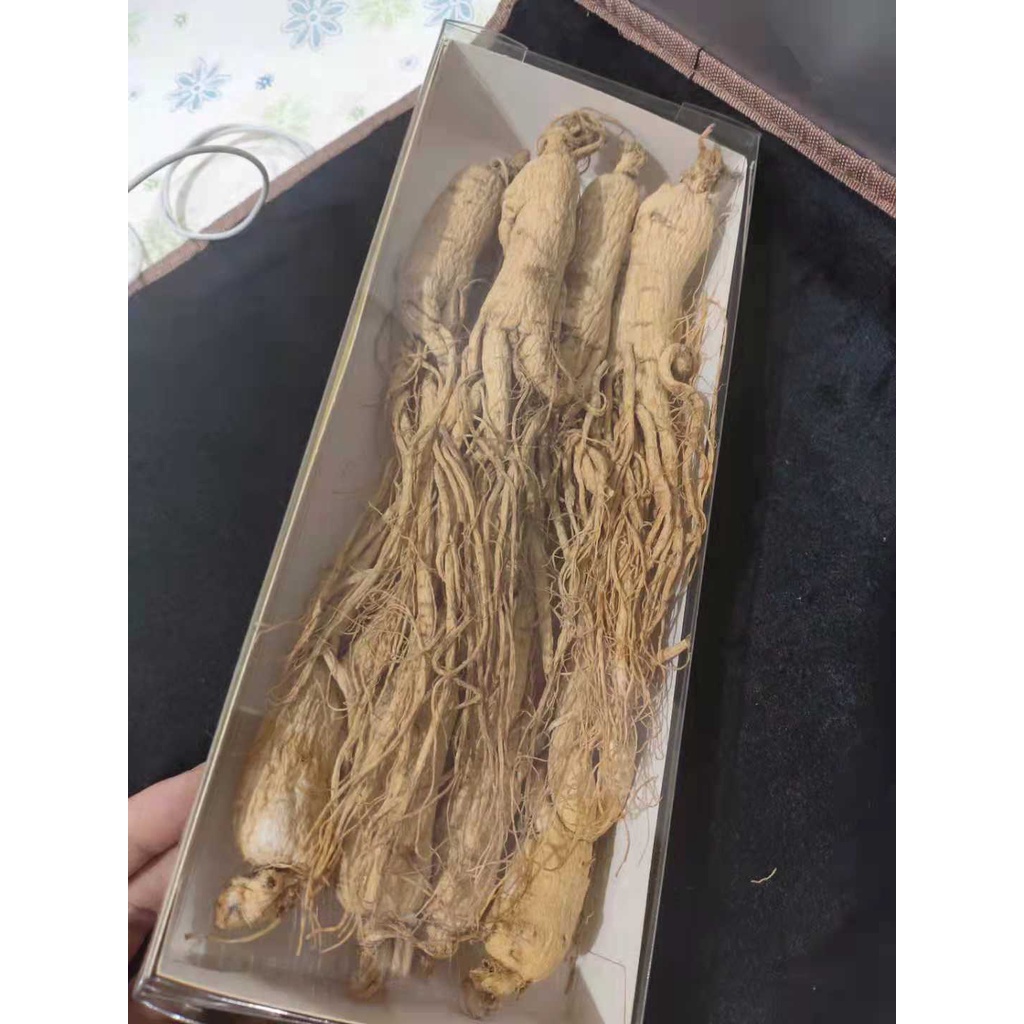 

Ginseng Kering putih 白条参 150 gram