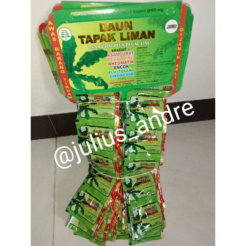 

Daun tapak liman
