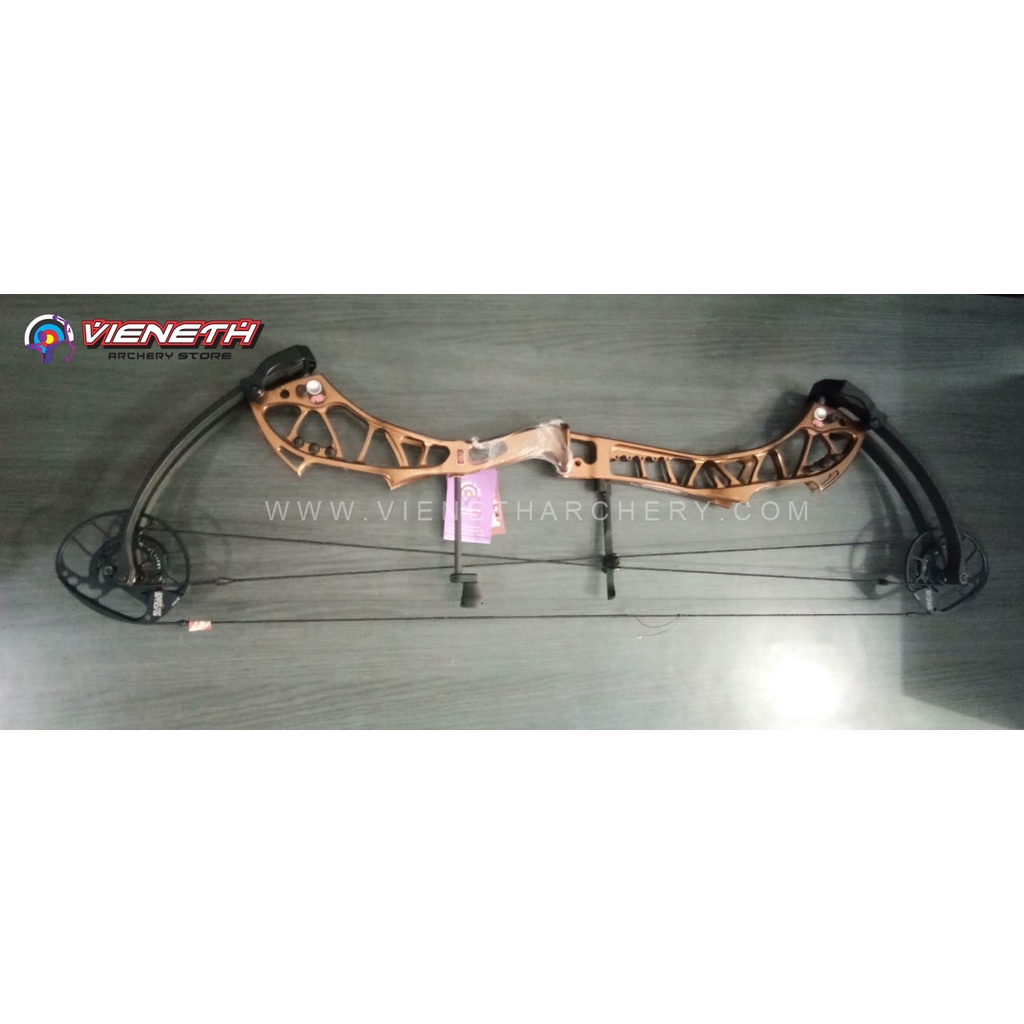 COMPOUND PSE SHOOTDOWN