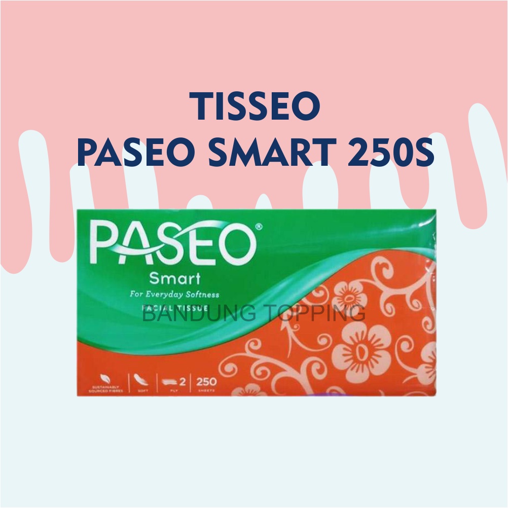 Paseo Tissue 250 sheets