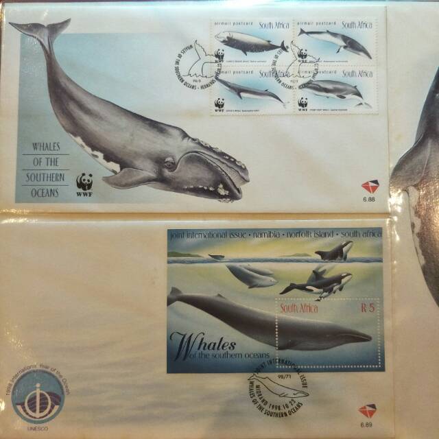 

1 Set SHP Perangko Ikan Paus Afrika Selatan - 1998 - Prangko Koleksi
