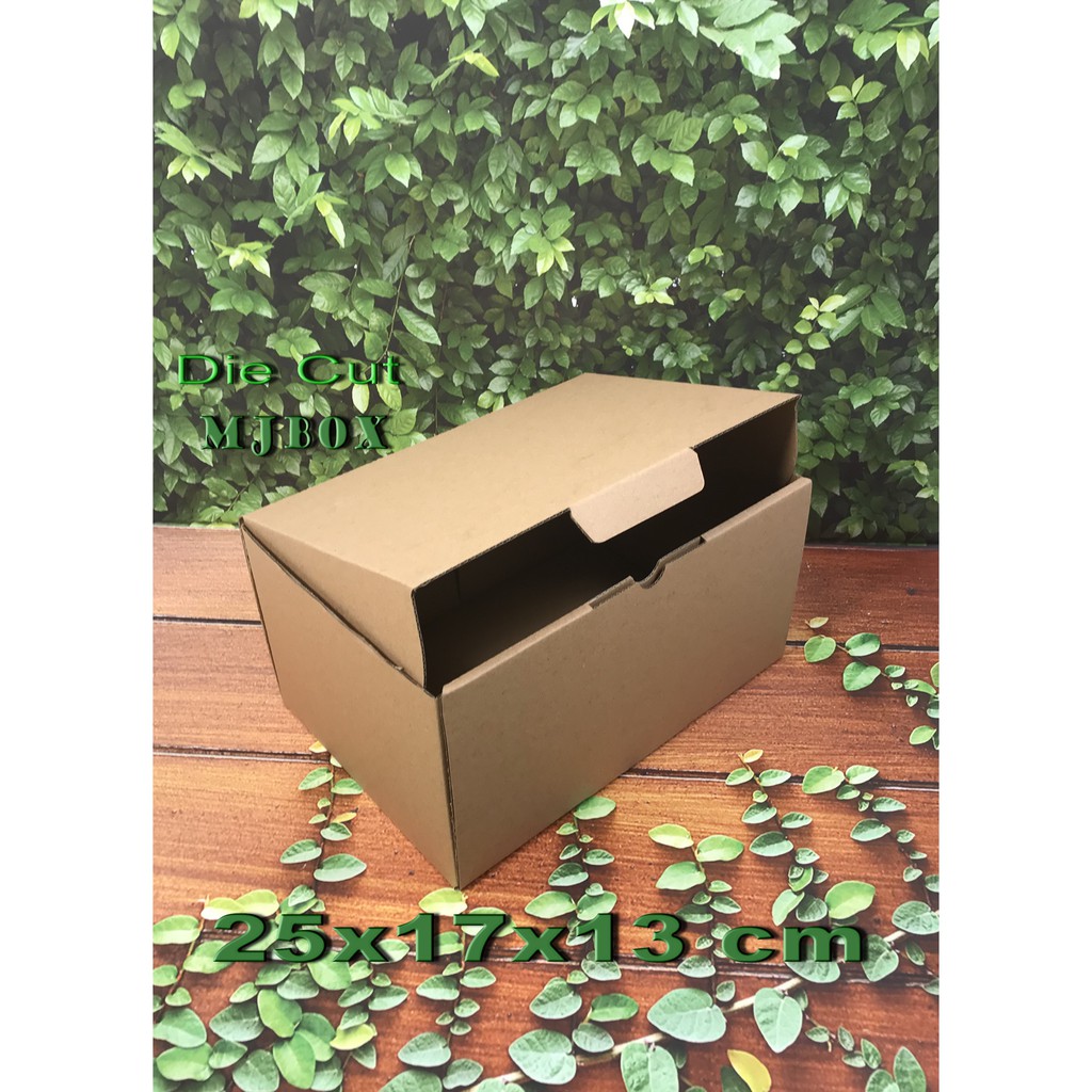 

Kardus karton Uk 25x17x13 cm Die Cut mode.box.pizza