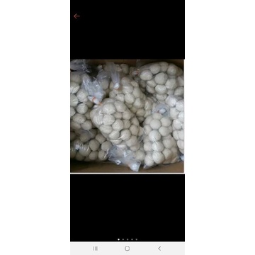 

tahu bulat