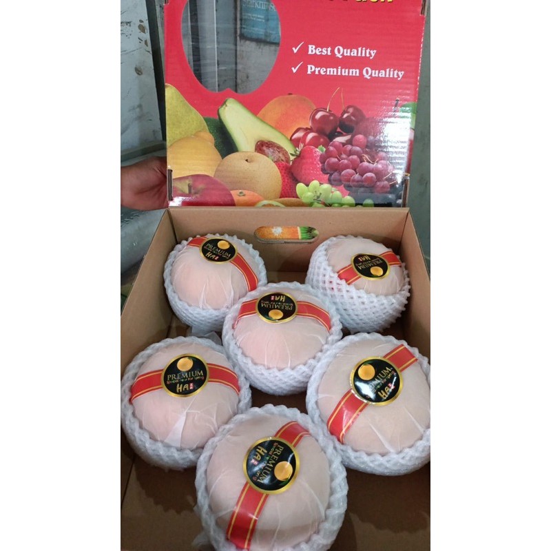 

Pear Korea Premium pear