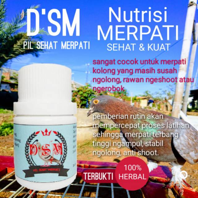 

(BEST SELLER) Pil stamina & daya tahan merpati D'SM Sehat Merpati