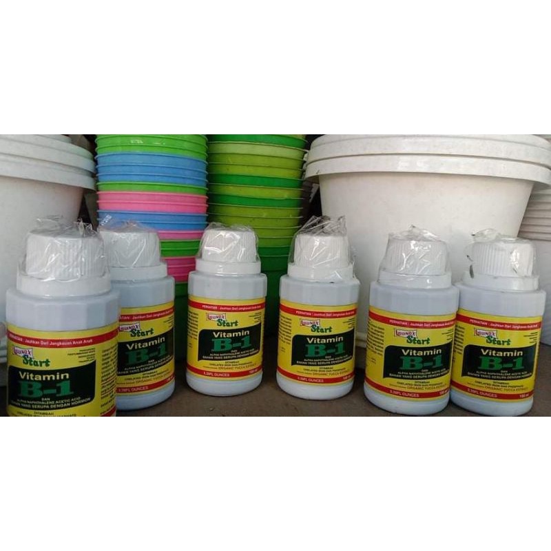 Pupuk Vitamin B-1