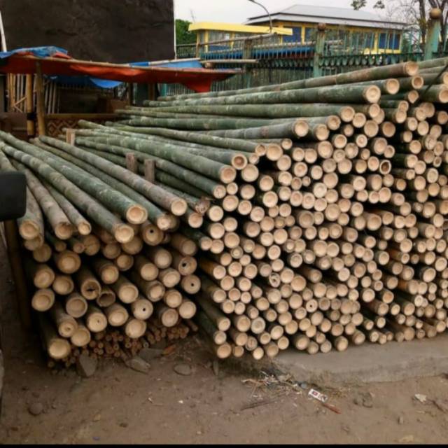  Bambu  Steger tersedia diameter  6 17 cm Shopee Indonesia
