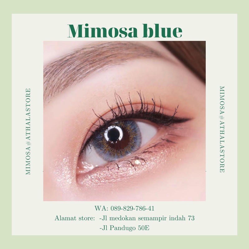 SOFTLENS MIMOSA