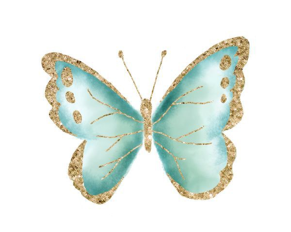 Isi 10 Thinwall Kotak Makan Box Makanan Plastik Bening 750ml