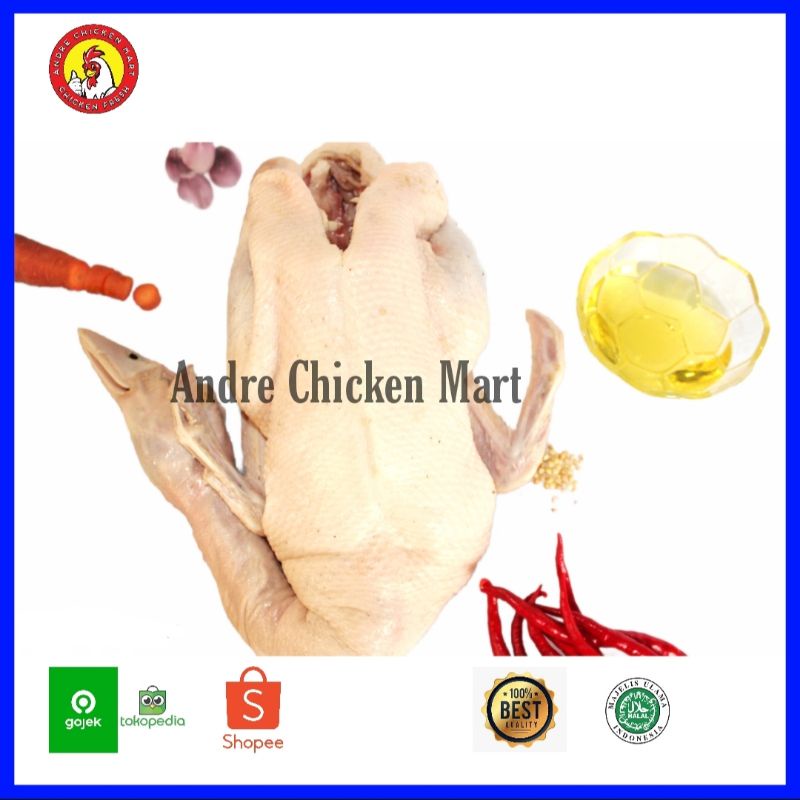 

Bebek Peking Hibrida Frozen (1 Kg - 1.2 Kg) - Andre Chicken Mart