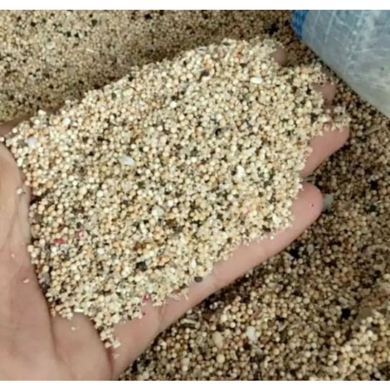 Pasir bali 1 kg