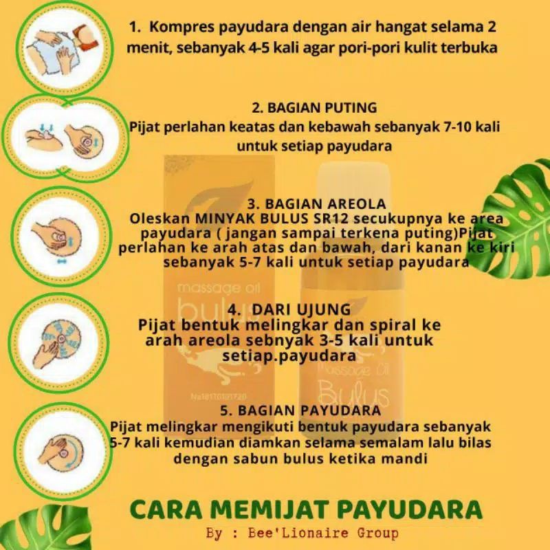 Minyak Bulus Pembesar Payudara