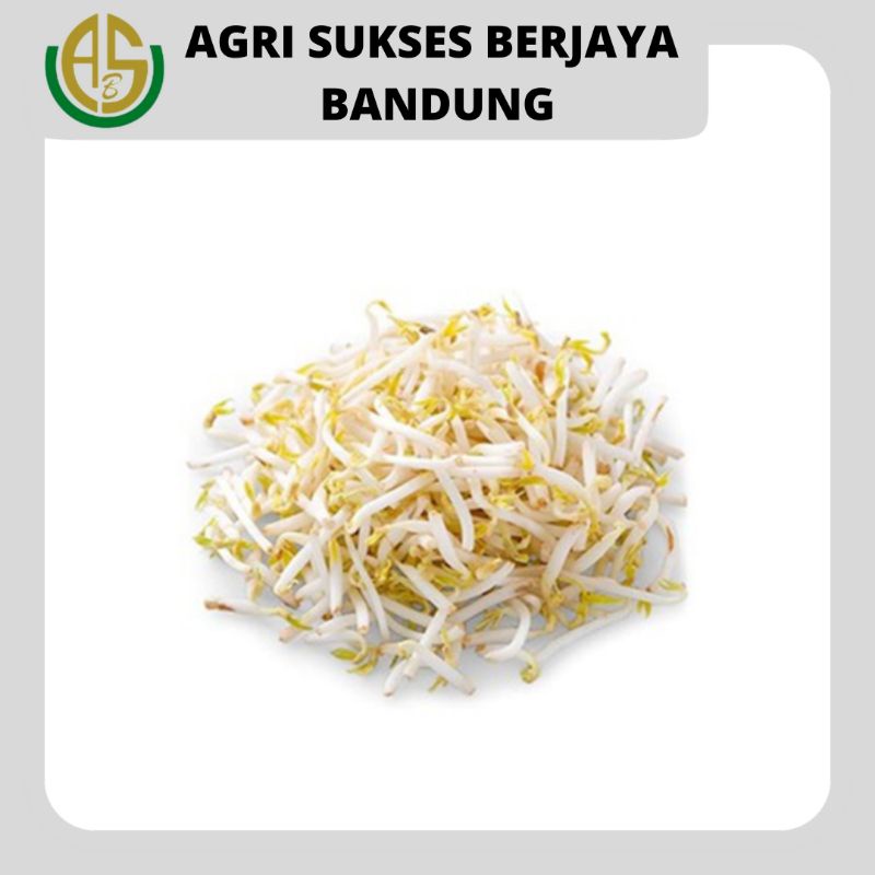

TOGE / TAOGE / Beansprout Bean Sprout - 250gr