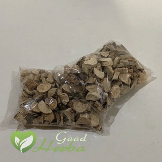 

GROSIR Keladi Tikus