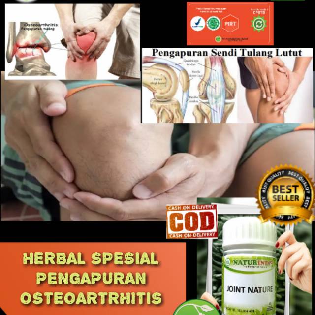 Obat Nyeri sendi Lutut Obat Nyeri sendi Obat sendi Obat Sakit Lutut Obat Sakit Lutut dan Sendi Obat 