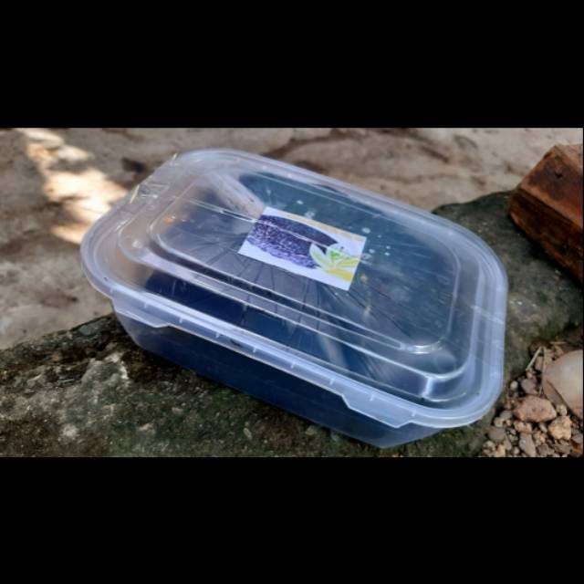 Bedda lottong halus.. teksturnya yang beda lebih halus gengs/UK 1KG