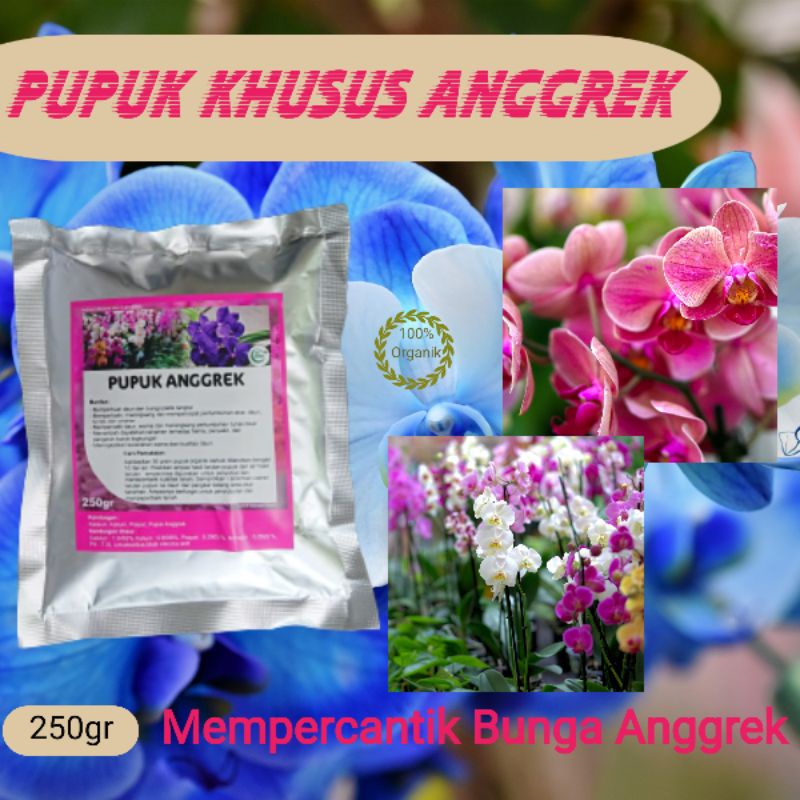 Jual Pupuk Anggrek Agar Bunga Anggrek Cepat Berbunga Agar Pertumbuhan ...