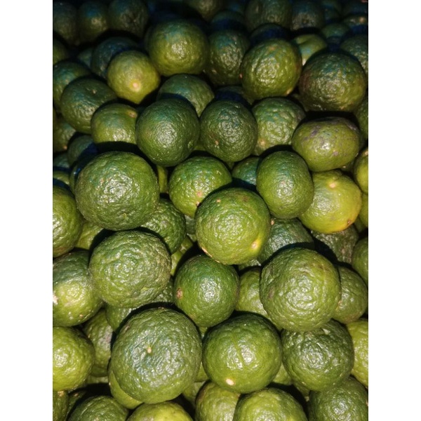JERUK LIMAU FRESH  1KG PILIHAN