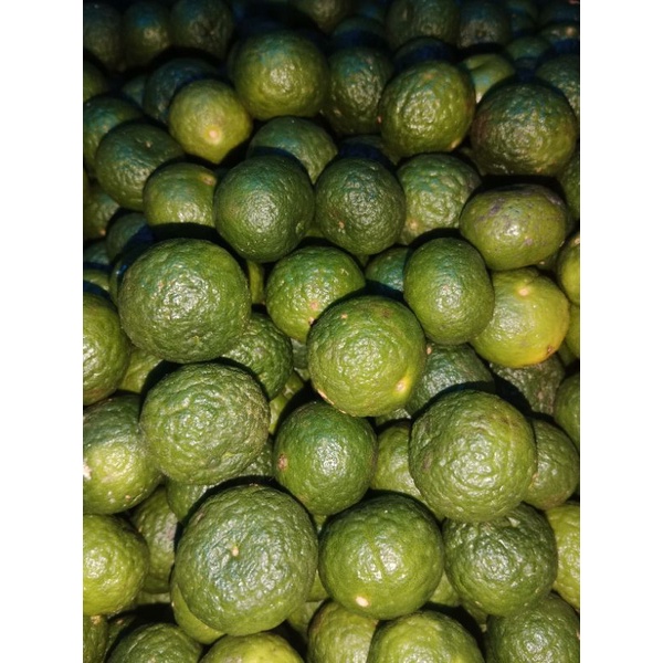 JERUK LIMAU FRESH  1KG