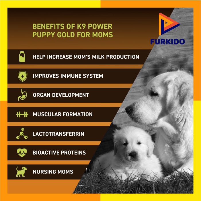 K9 Puppy Gold 4 LB / 1,8 kg - Susu Anak Anjing - Puppy Milk