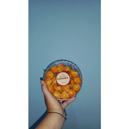 

Nastar Original 500gr