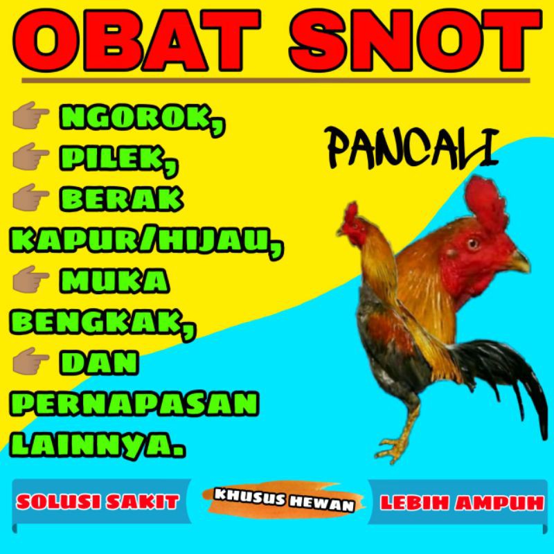 Obat Snot Pancali, untuk Ayam Bangkok