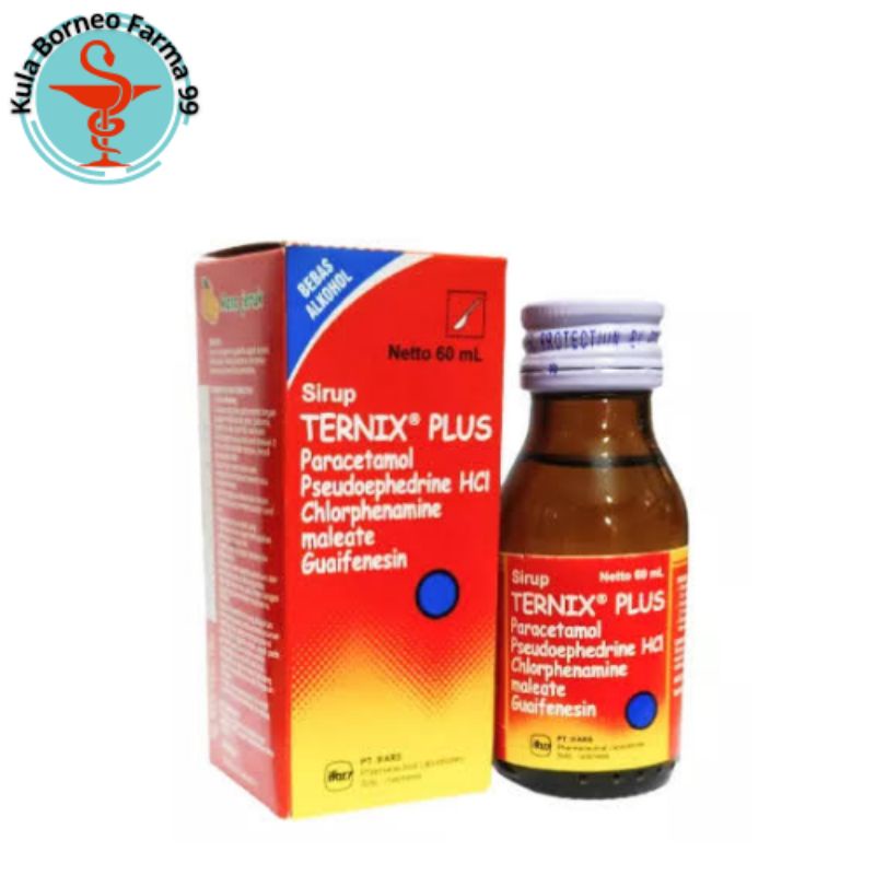 Ternix Plus Sirup