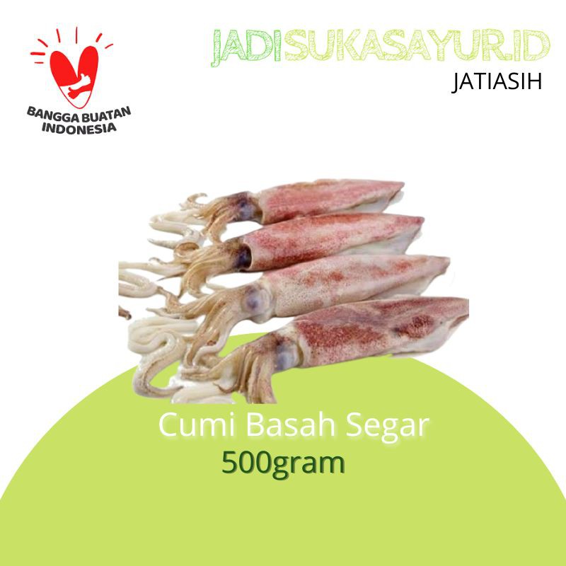 

Cumi Basah Fresh 500gram - Hasil Laut Segar