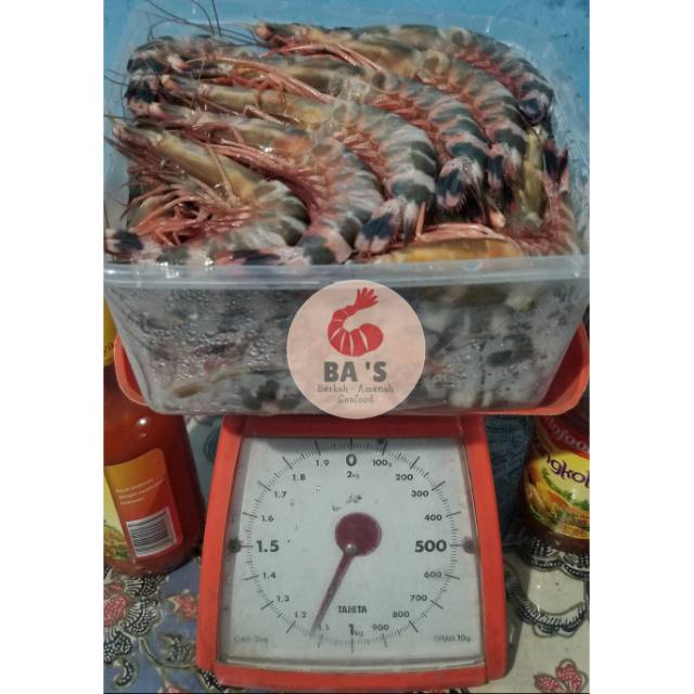 

Udang Laut Segar Super - Size 35-45 (1kg)
