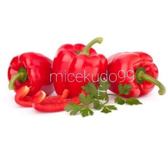 

PAPRIKA MERAH FRESH SEGAR / RED BELL PEPPER