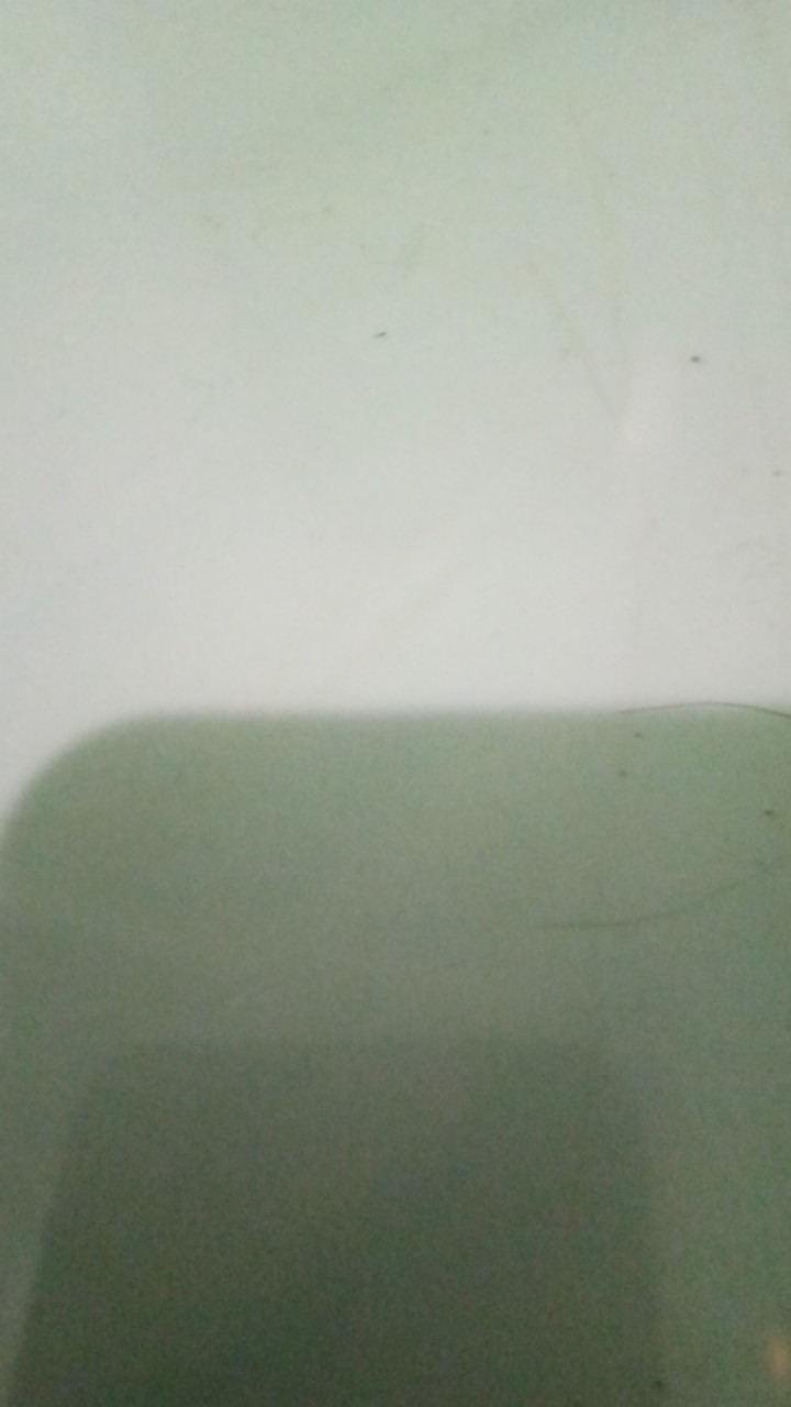 Alat Pel Lantai Magic Wonder Spin Mop Original Putar 360 Derajat Otomatis Tanpa Peras Pakai Roda