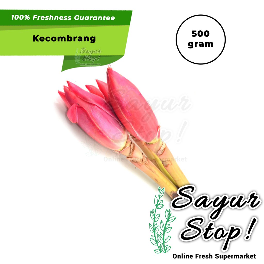 

Sayur Stop Kecombrang 500 gram