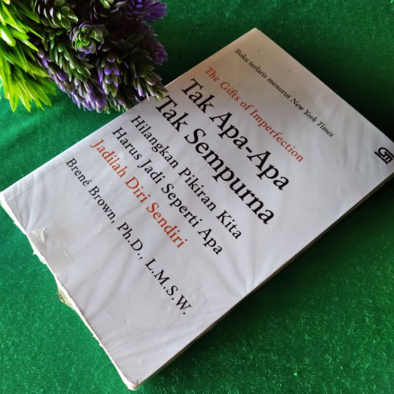 Preloved buku Tak Apa-apa Tak Sempurna terj. Indonesia