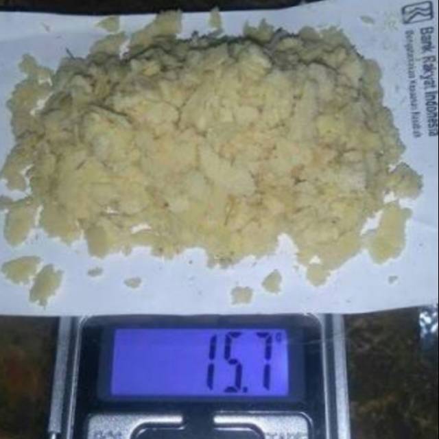 Telur Maggot BSF