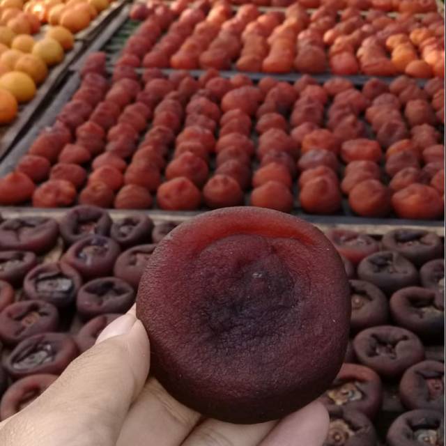 

Cemilan Sale Kesemek/Snack Manisan Kesemek/Makanan Dried Persimmon/500 gr Sale Kesemek