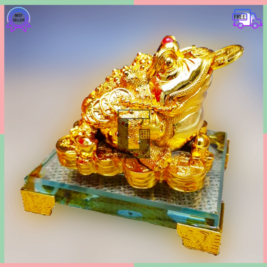 Patung Pajangan Hiasan Dekorasi Hadiah Kado Imlek Sincia Kodok Katak Kaki Berkaki Tiga Gigit Uang Coin Koin Emas Gold ChanChu Cancu Chancu Fengshui Feng Shui Pembawa Hoki Rejeki Keberuntungan Shio Kelinci Cny 2023 Ukuran Kecil Besar Jumbo Size Gift Box